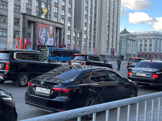 Источник: Вера Борисова / MSK1.RU