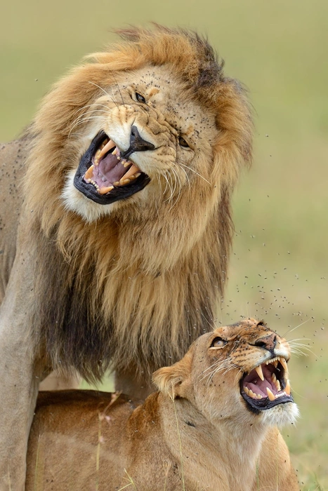 Источник: Winfried Wisniewski / GDT Nature Photographer of the Year