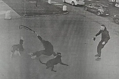 Man Convicted for Pit Bull Attack in St. Petersburg