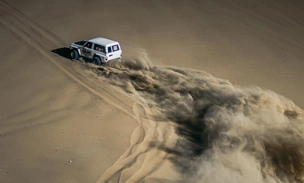 Liwa International Festival 2026: Зимний фестиваль Абу-Даби в сердце региона Аль-Дафра