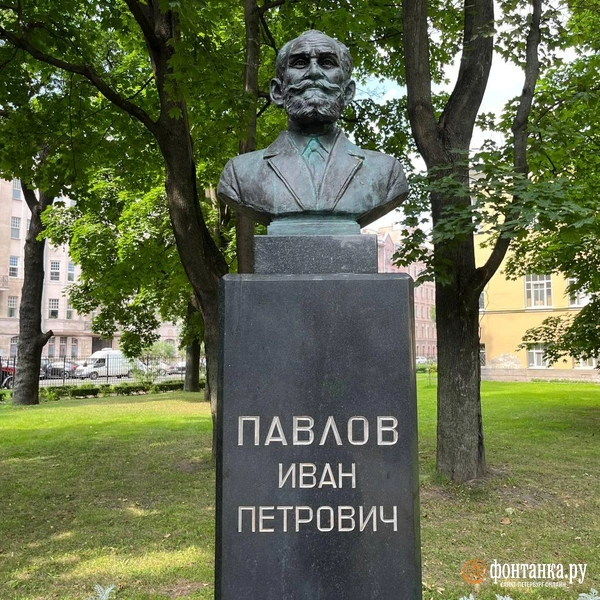 Источник: Дмитрий Грозный / «Фонтанка.ру»