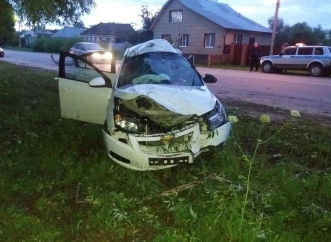 Под Рязанью Chevrolet врезался в дерево, погибла 17-летняя девушка | ya62.ru