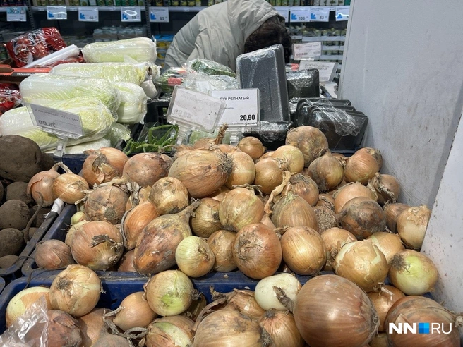 За год лук подорожал на 8 рублей | Источник: Алексей Сапожков / NN.RU
