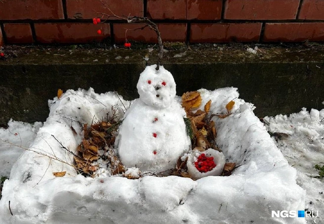 А этого снеговика украсили ягодами рябины | Источник: читатель НГС