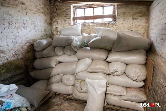 В свободных денниках лежат мешки с кормом | Источник: Евгений Вдовин / 161.RU