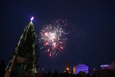 В Воронежской области запретили салюты на Новый год