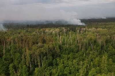 Voronezh Biosphere Reserve Seeks Nearly 174 Million Rubles from South-Eastern Railway Over Fire