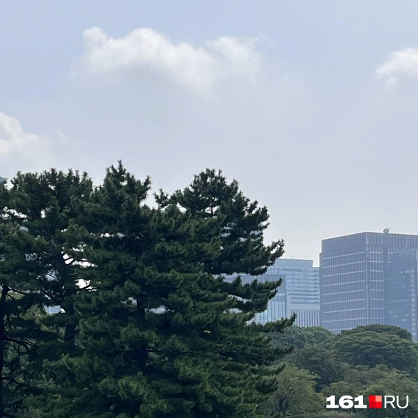 Источник: читатель 161.RU