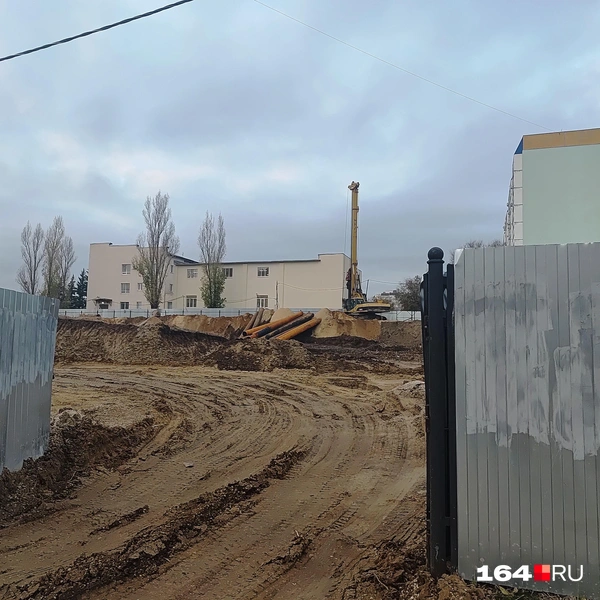 Источник: Сергей Гендин / 164.RU