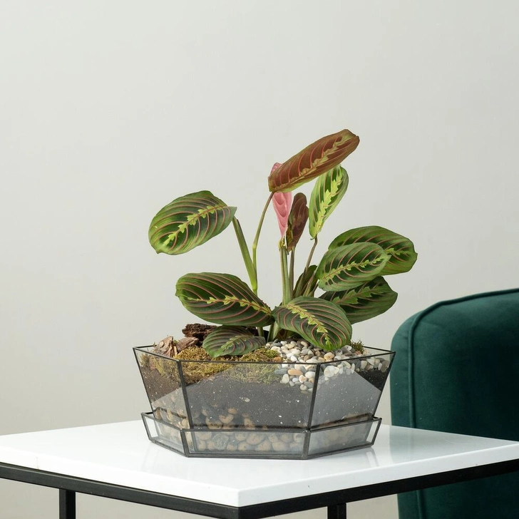 Источник: Архивы Flowwow