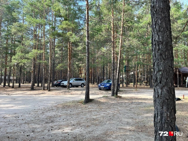 Приехал и бросил — пока принцип парковки такой | Источник: Анатолий Кузнецов / 72.RU