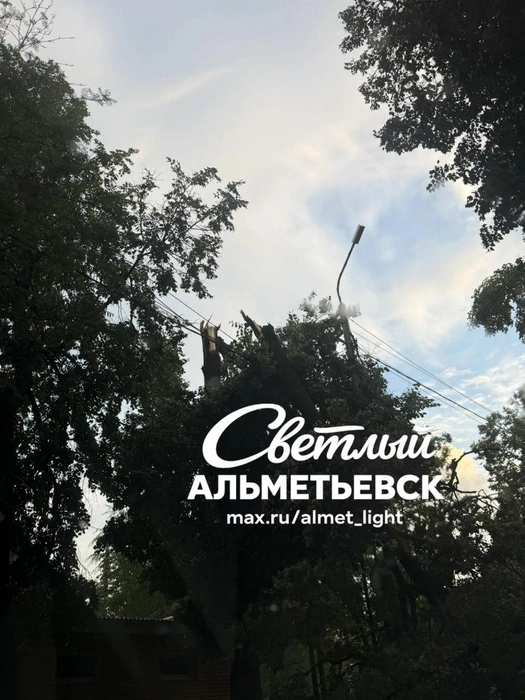 Источник: Светлый Альметьевск / T.me