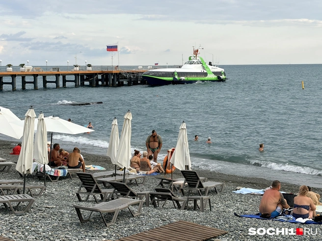 «Комета» домчит до Абхазии | Источник: Анна Грицевич / SOCHI1.RU