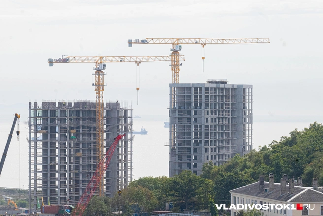 Некоторые даже не замечают бордюр | Источник: Елена Буйвол / VLADIVOSTOK1.RU