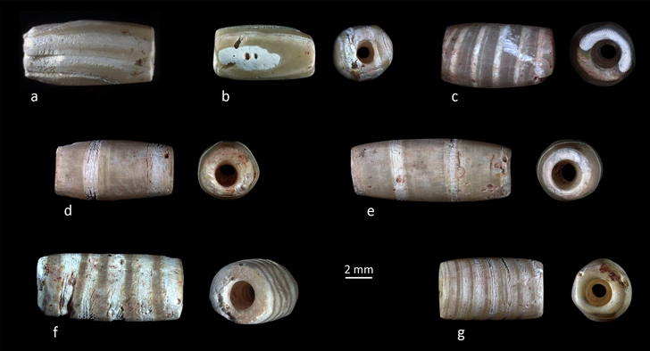 2500 бусин и раковин: археологи восстановили погребальное ожерелье 8-летнего ребенка из эпохи неолита