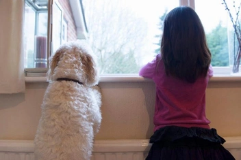 «Дочь оставляет маленькую внучку одну дома, меня это беспокоит. Как на нее повлиять?»