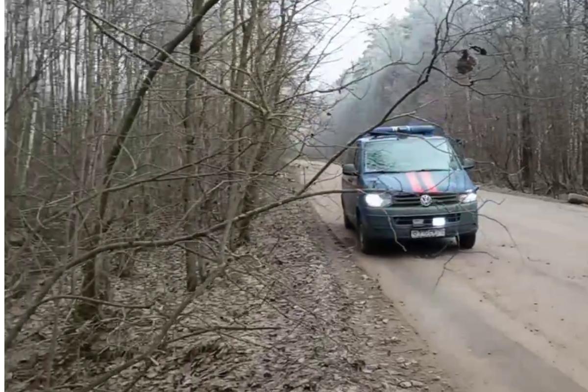 В канаве под Петербургом нашли сумку с останками женщины: новости 11 ноября