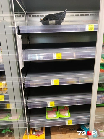 В «Монетке» тоже пусто | Источник: читатель 72.RU