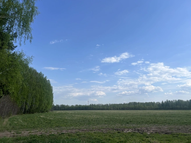 В ближайшее время начнется строительство грунтовых дорог, ведущих к участкам  | Источник: «Свердловские сады»