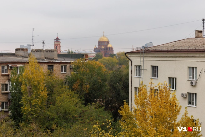 Осень в регионе всё активнее вступает в свои права | Источник: Алексей Волхонский / V1.RU