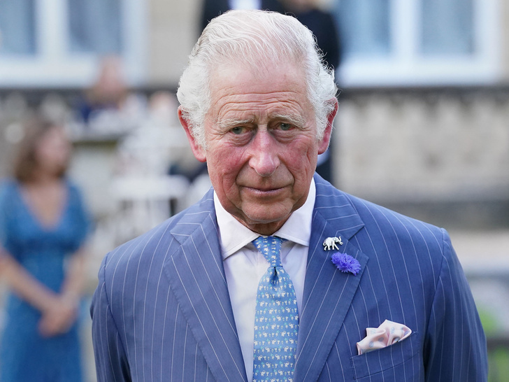 Богатый принц: каким состоянием владеет Чарльз (и откуда оно взялось)