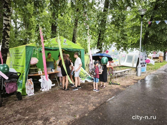 Источник: www.city-n.ru