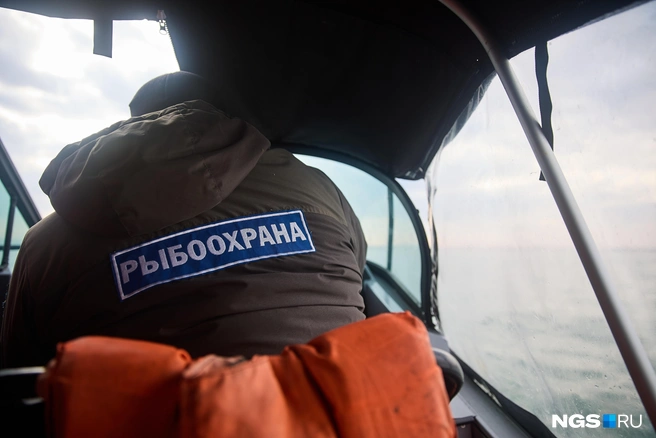 Помимо ловли живых браконьеров, рыбоохранники вылавливают из озера и изымают их снасти: если сеть без специальной пломбы, браконьер может с ней попрощаться | Источник: Александр Ощепков / NGS.ru