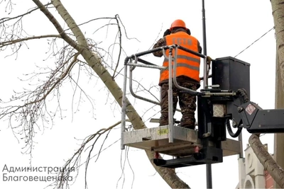 В Благовещенске привели в порядок почти сотню деревьев