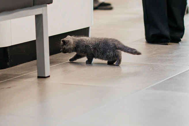 Источник: Ксения Зимина