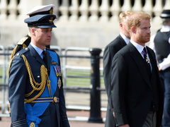 Последний шанс на примирение: принцы Гарри и Уильям пройдут бок о бок на похоронах королевы Елизаветы II