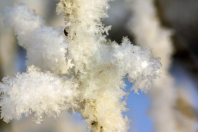 В Ольском округе прогнозируют сильную изморозь
