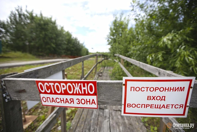 Охтинский мысавтор фото Павел Каравашкин / «Фонтанка.ру»