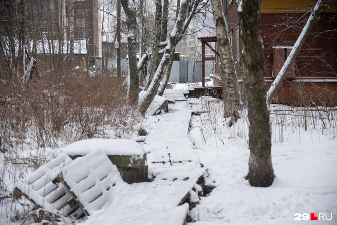 Источник: Иван Митюшёв / 29.RU