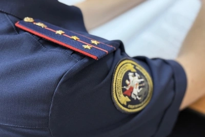 Жительница Ельников ответит в суде за нападение на инспекторов ДПС