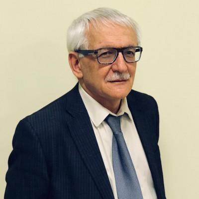 <p>Михаил Блинкин</p>