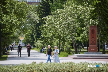Скоро погода снова изменится | Источник: Александр Ощепков / NGS.RU