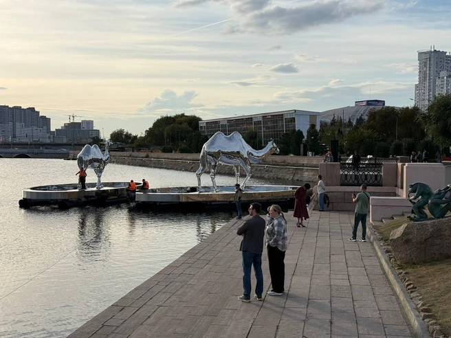 Сначала их собрали на берегу, а теперь спустили на воду | Источник: читатель 74.RU
