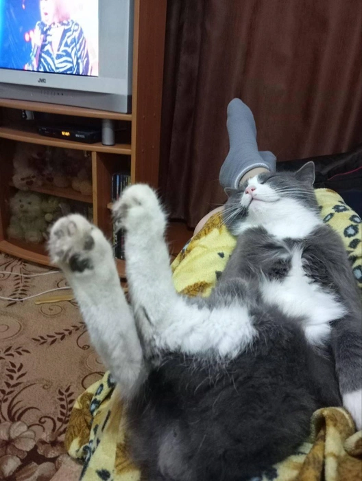 Балдеж! | Источник: читатель 63.RU