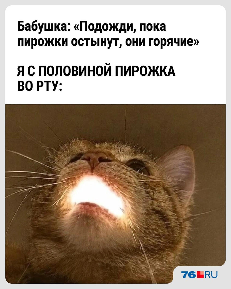 Голод не тетка | Источник: Городские медиа
