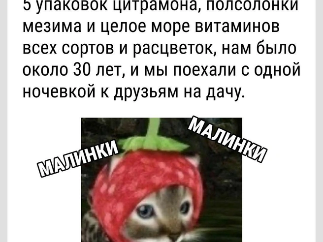 Вот он — запас для тусовки | Источник: Городские медиа