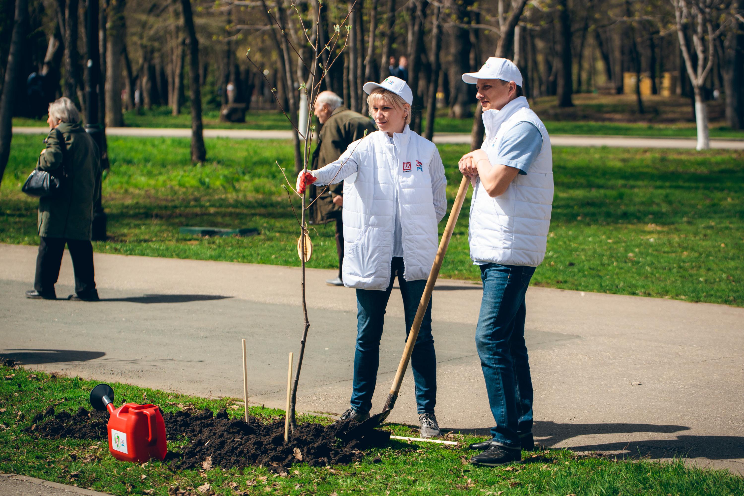 Дочерняя компания «ЛУКОЙЛ» отметила свое 30-летие и высадила деревья в  парке Гагарина - 28 апреля 2022 - 63.ру