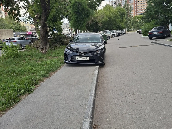 Тротуар слишком узкий, чтобы разойтись с этим «пешеходом» | Источник:  «АСТ-54 Black» во «ВКонтакте»