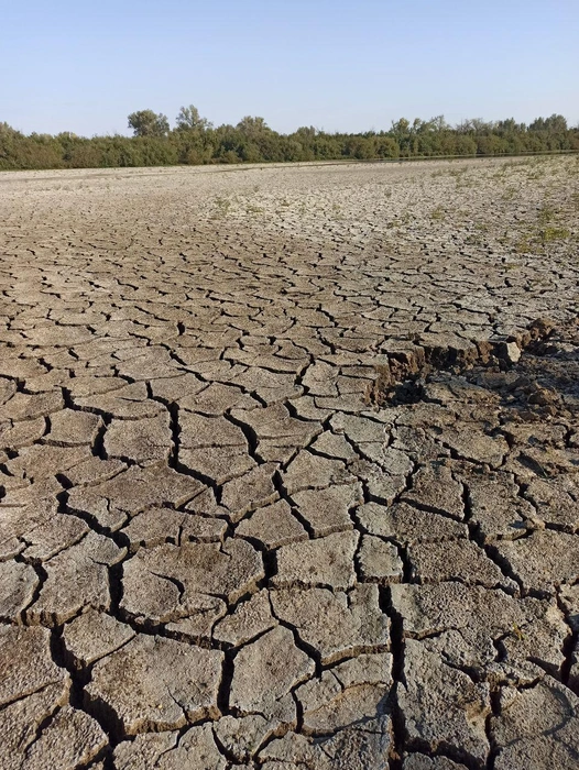 В чём причина засыхающих водоемов? | Источник: читатели V1.RU