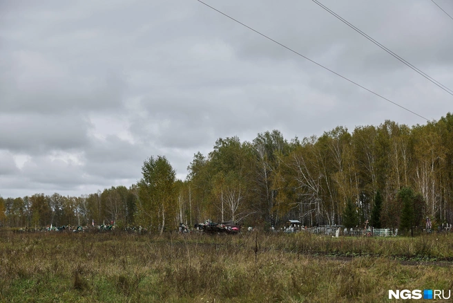 На окраине деревни, вблизи леса и пасеки, жить как будто должно быть тревожнее | Источник: Александр Ощепков / NGS.RU