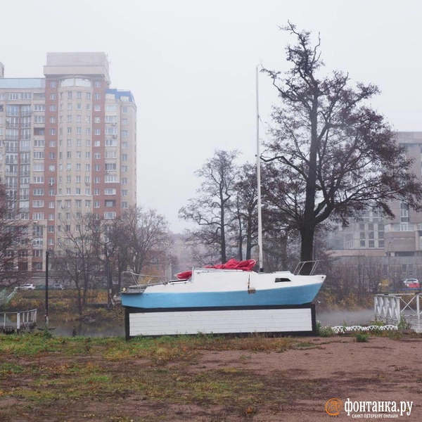 Источник: Сергей Николаев / FONTANKA.RU