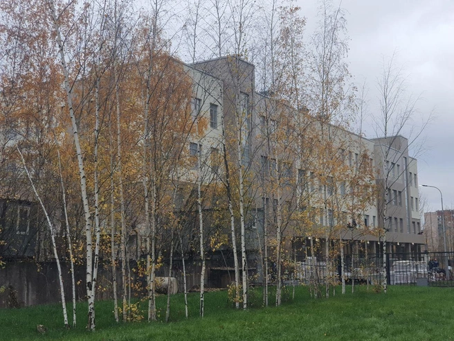 Источник: пресс-служба Setl Group