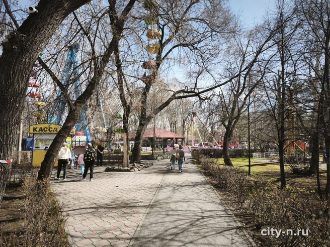Источник: www.city-n.ru