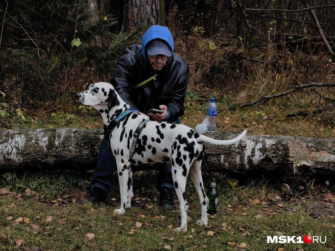 Источник: Дмитрий Бондарев / MSK1.RU