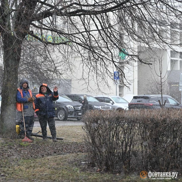 Источник: Андрей Бок / «Фонтанка.ру»