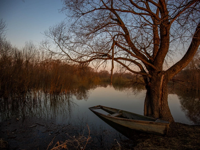 Из четырех человек, находившихся в лодке, не пострадал только один. | Источник: Александр Ощепков / NGS.RU